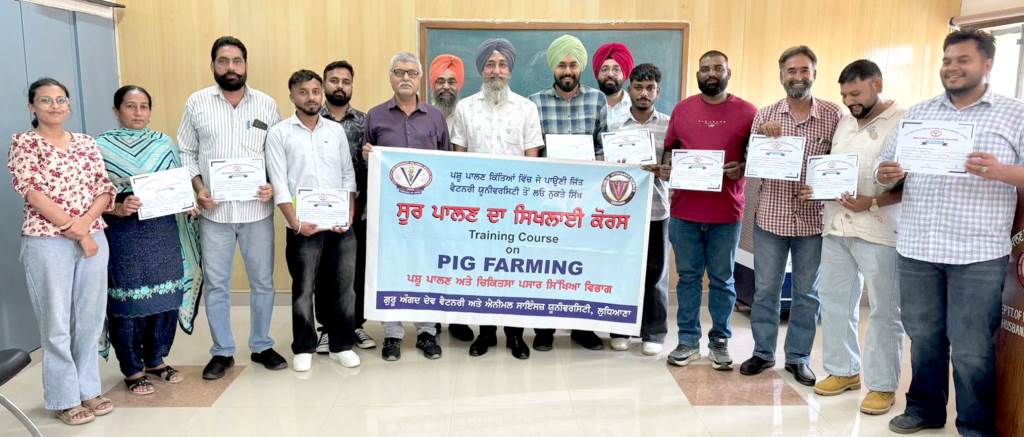 Veterinary University is providing multipoint support for pig farming profession